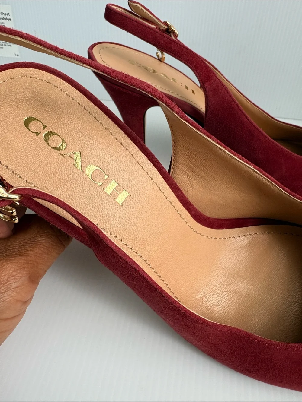 Coach size raspberry